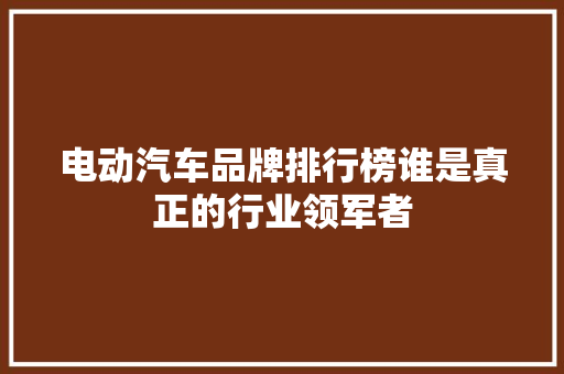 电动汽车品牌排行榜谁是真正的行业领军者 车载导航