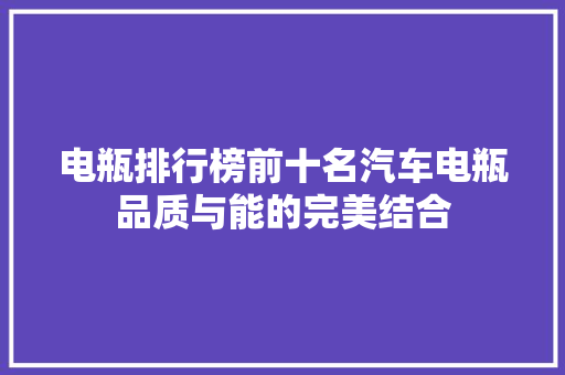 电瓶排行榜前十名汽车电瓶品质与能的完美结合