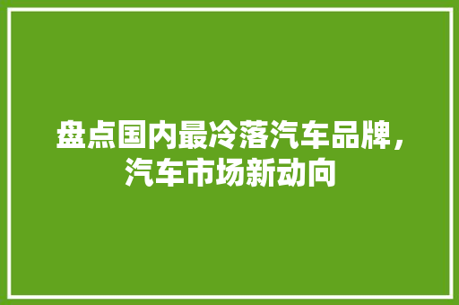 盘点国内最冷落汽车品牌，汽车市场新动向 新车资讯