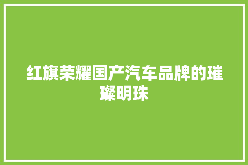 红旗荣耀国产汽车品牌的璀璨明珠