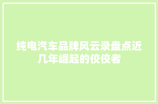 纯电汽车品牌风云录盘点近几年崛起的佼佼者