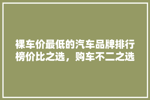 裸车价最低的汽车品牌排行榜价比之选，购车不二之选 车载导航