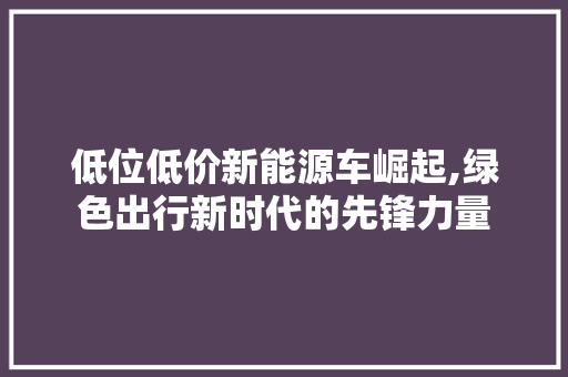 低位低价新能源车崛起,绿色出行新时代的先锋力量