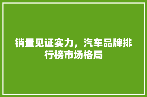 销量见证实力，汽车品牌排行榜市场格局 汽车保养