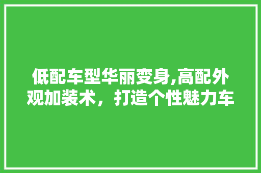 低配车型华丽变身,高配外观加装术，打造个性魅力车