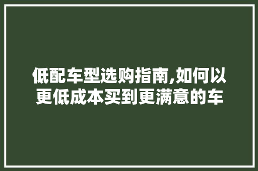 低配车型选购指南,如何以更低成本买到更满意的车