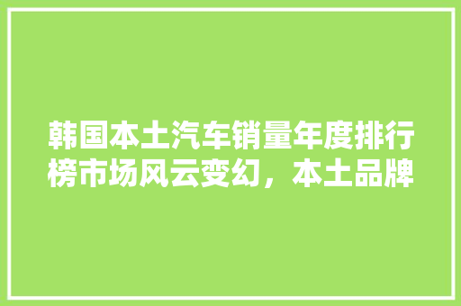 韩国本土汽车销量年度排行榜市场风云变幻，本土品牌崛起