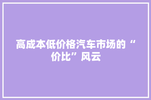 高成本低价格汽车市场的“价比”风云