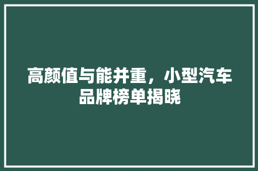 高颜值与能并重，小型汽车品牌榜单揭晓