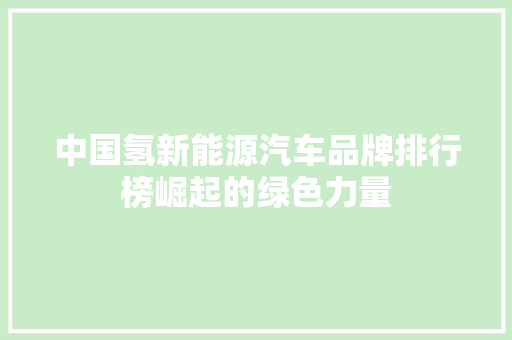 中国氢新能源汽车品牌排行榜崛起的绿色力量 汽车展览