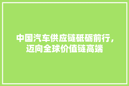 中国汽车供应链砥砺前行，迈向全球价值链高端