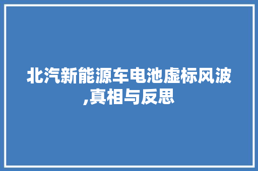 北汽新能源车电池虚标风波,真相与反思 车载导航
