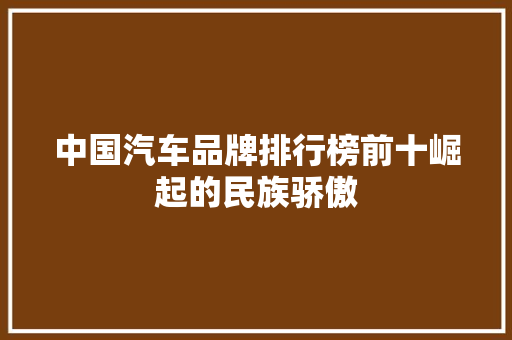 中国汽车品牌排行榜前十崛起的民族骄傲
