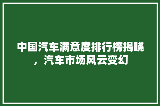 中国汽车满意度排行榜揭晓，汽车市场风云变幻 车型评测