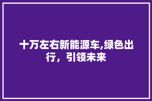 十万左右新能源车,绿色出行，引领未来