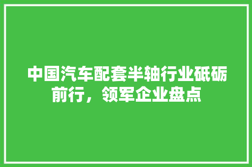 中国汽车配套半轴行业砥砺前行，领军企业盘点