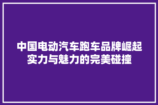 中国电动汽车跑车品牌崛起实力与魅力的完美碰撞