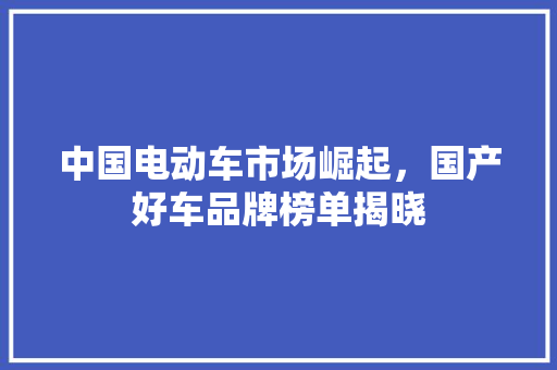 中国电动车市场崛起，国产好车品牌榜单揭晓