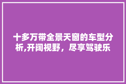 十多万带全景天窗的车型分析,开阔视野，尽享驾驶乐趣