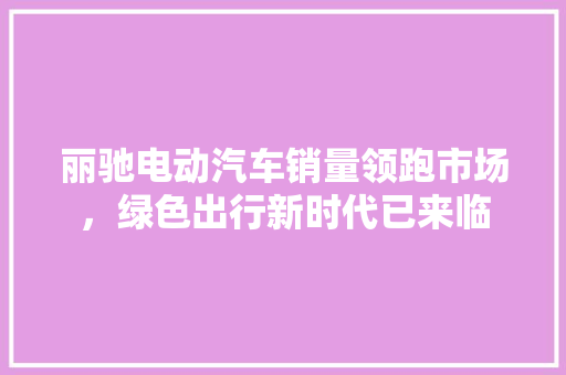 丽驰电动汽车销量领跑市场，绿色出行新时代已来临