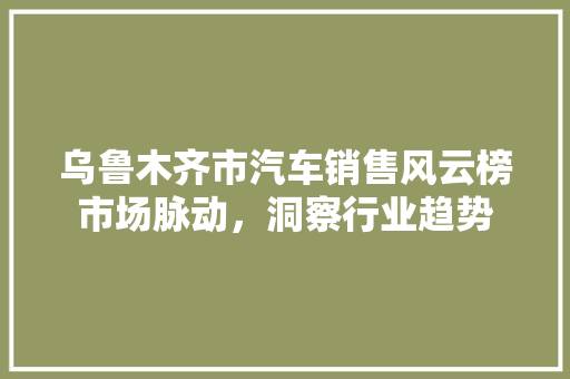 乌鲁木齐市汽车销售风云榜市场脉动，洞察行业趋势