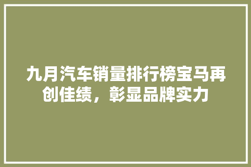 九月汽车销量排行榜宝马再创佳绩，彰显品牌实力