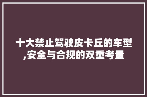 十大禁止驾驶皮卡丘的车型,安全与合规的双重考量