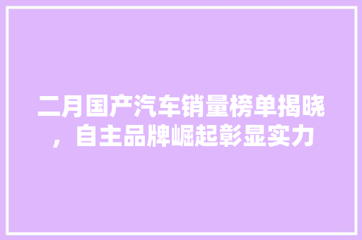 二月国产汽车销量榜单揭晓，自主品牌崛起彰显实力