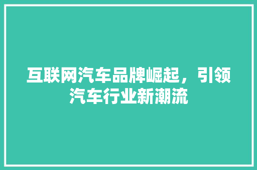 互联网汽车品牌崛起，引领汽车行业新潮流 智能驾驶