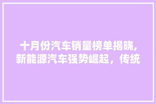 十月份汽车销量榜单揭晓,新能源汽车强势崛起，传统车企面临挑战