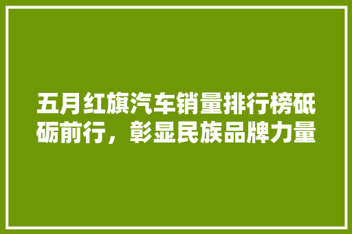 五月红旗汽车销量排行榜砥砺前行，彰显民族品牌力量