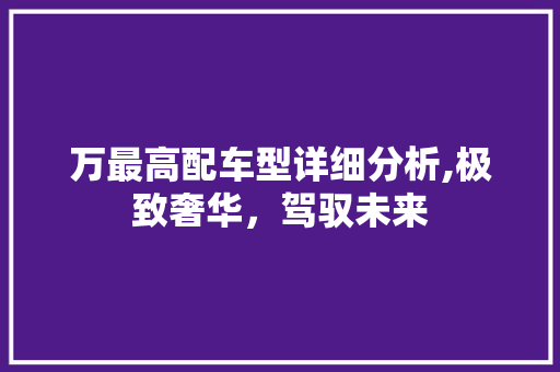 万最高配车型详细分析,极致奢华，驾驭未来