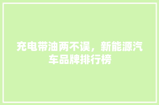 充电带油两不误，新能源汽车品牌排行榜
