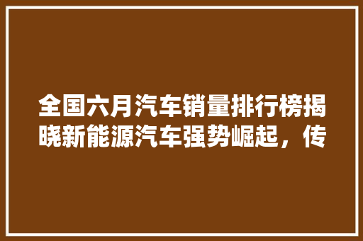 全国六月汽车销量排行榜揭晓新能源汽车强势崛起，传统车企面临挑战