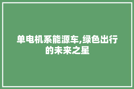 单电机系能源车,绿色出行的未来之星