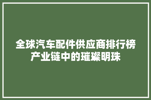 全球汽车配件供应商排行榜产业链中的璀璨明珠