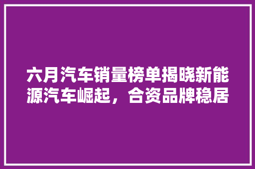 六月汽车销量榜单揭晓新能源汽车崛起，合资品牌稳居高位
