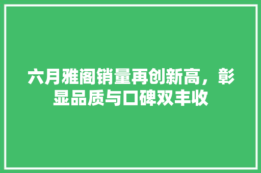 六月雅阁销量再创新高，彰显品质与口碑双丰收