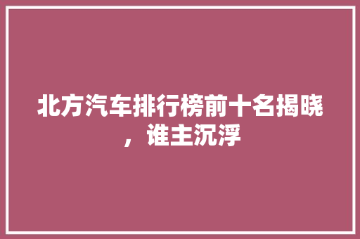 北方汽车排行榜前十名揭晓，谁主沉浮