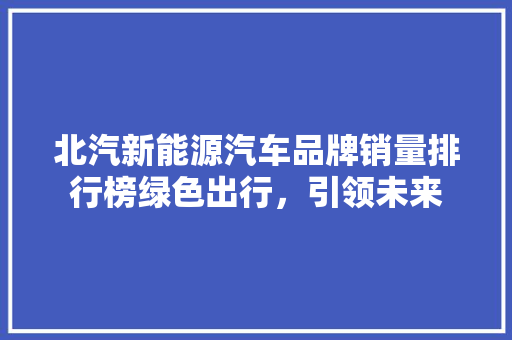 北汽新能源汽车品牌销量排行榜绿色出行，引领未来