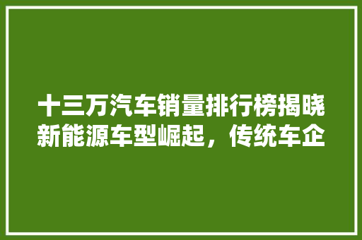 十三万汽车销量排行榜揭晓新能源车型崛起，传统车企面临挑战 汽车保养