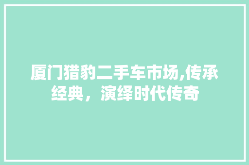 厦门猎豹二手车市场,传承经典，演绎时代传奇