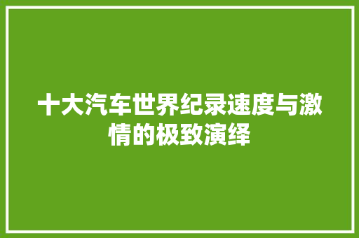 十大汽车世界纪录速度与激情的极致演绎