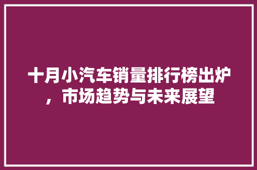 十月小汽车销量排行榜出炉，市场趋势与未来展望
