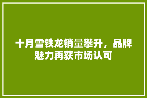 十月雪铁龙销量攀升，品牌魅力再获市场认可