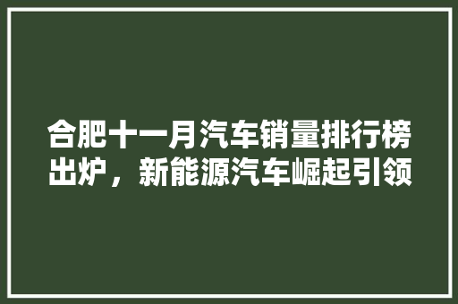 合肥十一月汽车销量排行榜出炉，新能源汽车崛起引领市场新风向