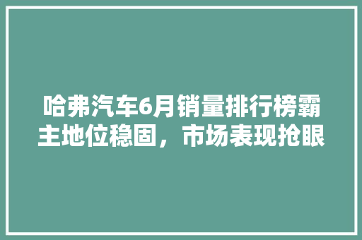 哈弗汽车6月销量排行榜霸主地位稳固，市场表现抢眼