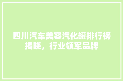 四川汽车美容汽化罐排行榜揭晓，行业领军品牌