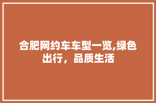 合肥网约车车型一览,绿色出行，品质生活 车型评测