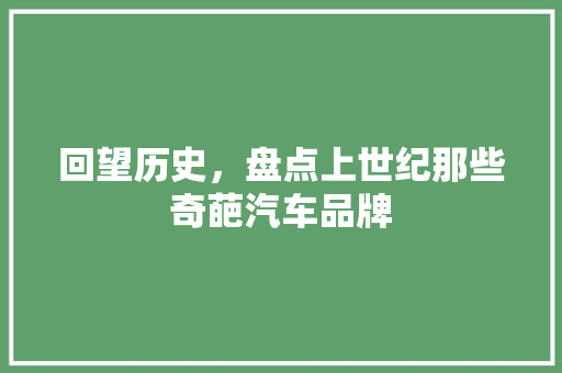 回望历史，盘点上世纪那些奇葩汽车品牌